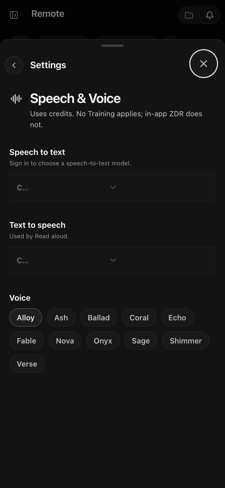 Speech and voice settings with the voice picker.